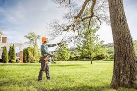 Best Tree Removal Service  in Raymond, MS